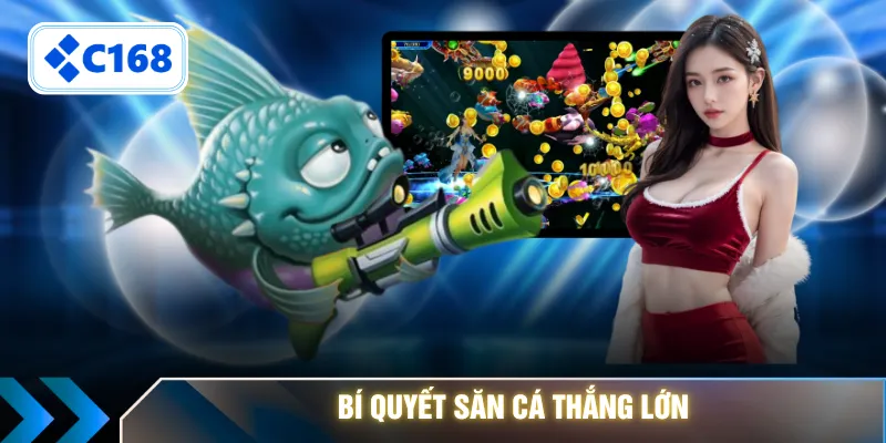 Bí quyết săn cá thắng lớn